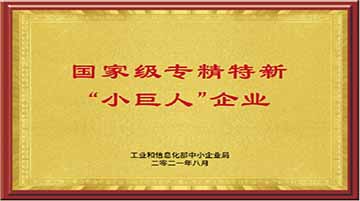 國家級專精特新“小巨人”企業(yè)